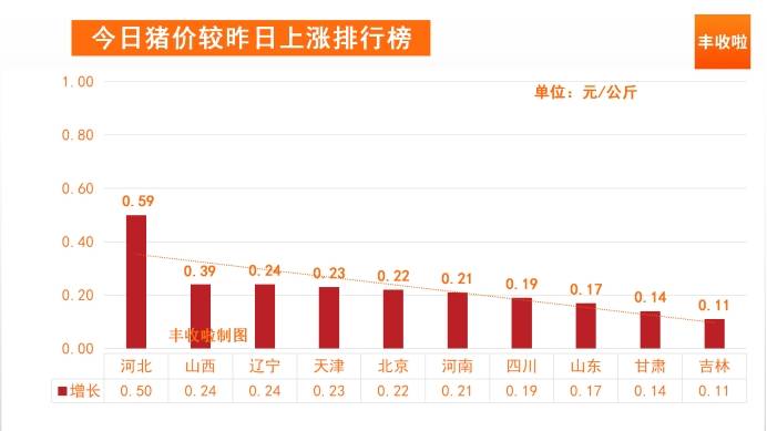 全国猪价最新今日行情